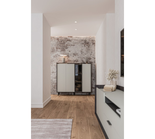 Шкаф комбинированный Модена МН-048-02